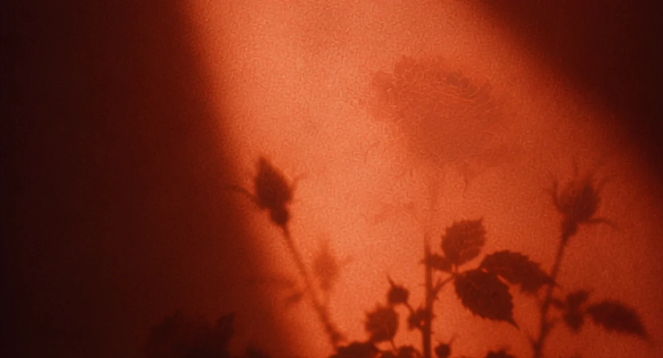 Threads of Love rose-shadow banner